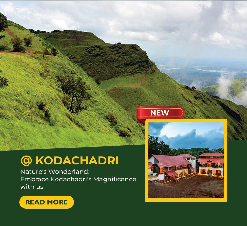 Accommodation in Kodachadri