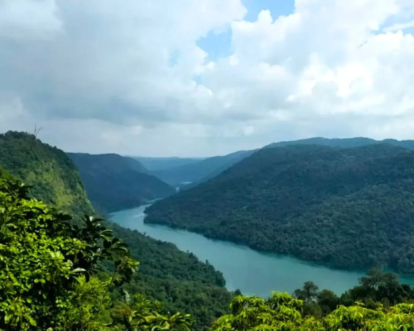 Sharavathi Valley Wildlife Sanctuary