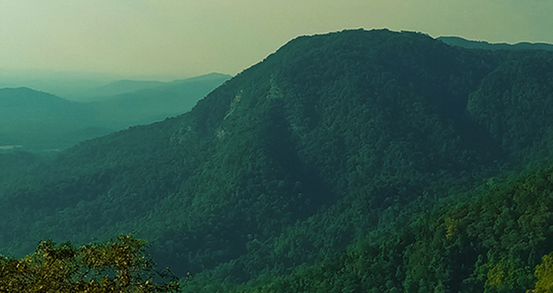 Agumbe